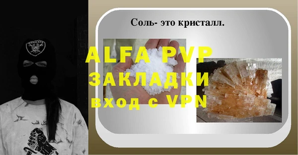 прущий лед Богданович