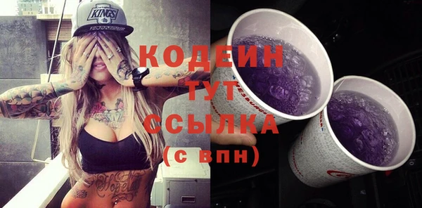 прущий лед Богданович