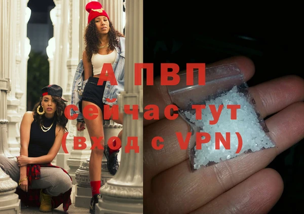 прущий лед Богданович