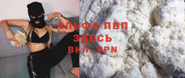 прущий лед Богданович