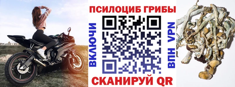 Купить закладки  Апрелевка  Галлюциногенные грибы прущие грибы 